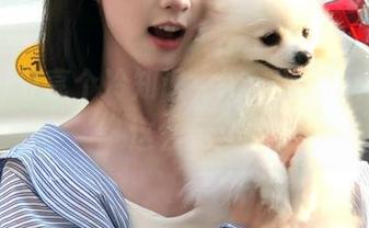 分享个冷知识，hlw里的瓜也可以这么另类