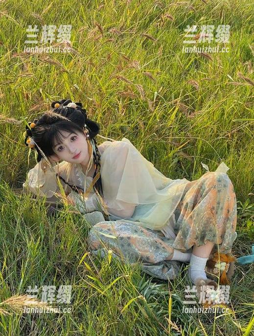 不止是视频！在“hlw”上，似乎电流流动的每一帧都不能少-兰辉缀