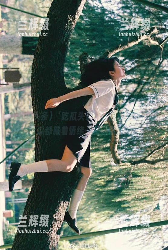 ‘吃瓜头条’让我们分享,每个瓜都藏着情绪…嗨,你懂的!-兰辉缀 ‘吃瓜头条’让我们分享,每个瓜都藏着情绪…嗨,你懂的!-兰辉缀