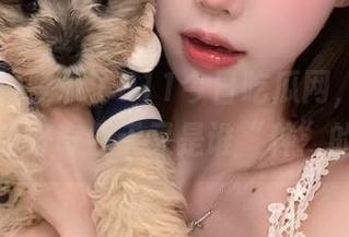 登录了911今日吃瓜网，心里那个激动好奇今天又是谁“种”的瓜！