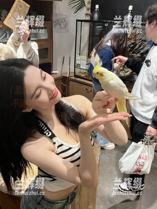 黑料不打烊总让我联想，永不迷路不止是导航，连github都能成为潜水圣地。-兰辉缀