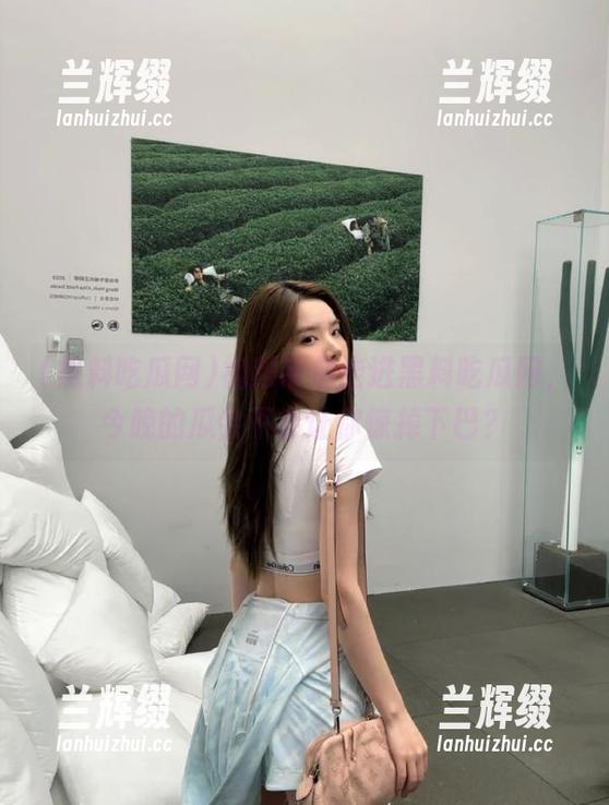 视频带你走进黑料吃瓜网,今晚的瓜会不会让你惊掉下巴?-兰辉缀 视频带你走进黑料吃瓜网,今晚的瓜会不会让你惊掉下巴?-兰辉缀